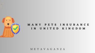 Many Pets Insurance in United Kingdom: Protecting Your Furry Friends