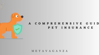 A Comprehensive Guide to Pet Insurance: Why It's Essential and How to Choose the Best Plan for Your Furry Friend