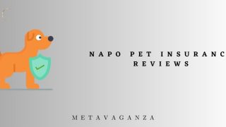 Napo Pet Insurance Reviews : Protect Your Pet with Comprehensive Coverage