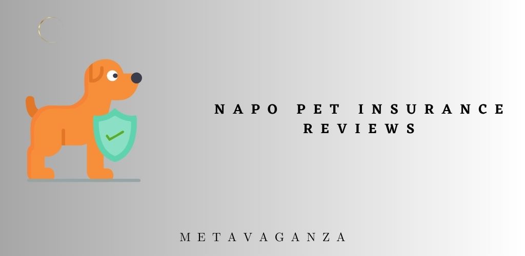 Napo Pet Insurance Reviews