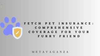 Fetch Pet Insurance: Comprehensive Coverage for Your Furry Friend