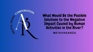 What Would Be the Possible Solutions to the Negative Impact Caused by Human Activities in the River?